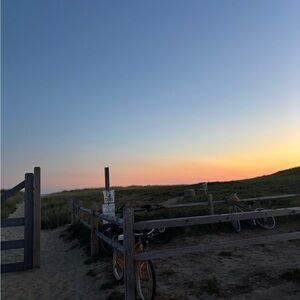 Meet your Posher, Bridget